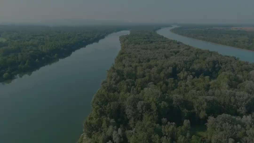 Le Ried alsacien — zone humide menacée par le projet Europa Vallée entre Diebolsheim et Sundhouse
