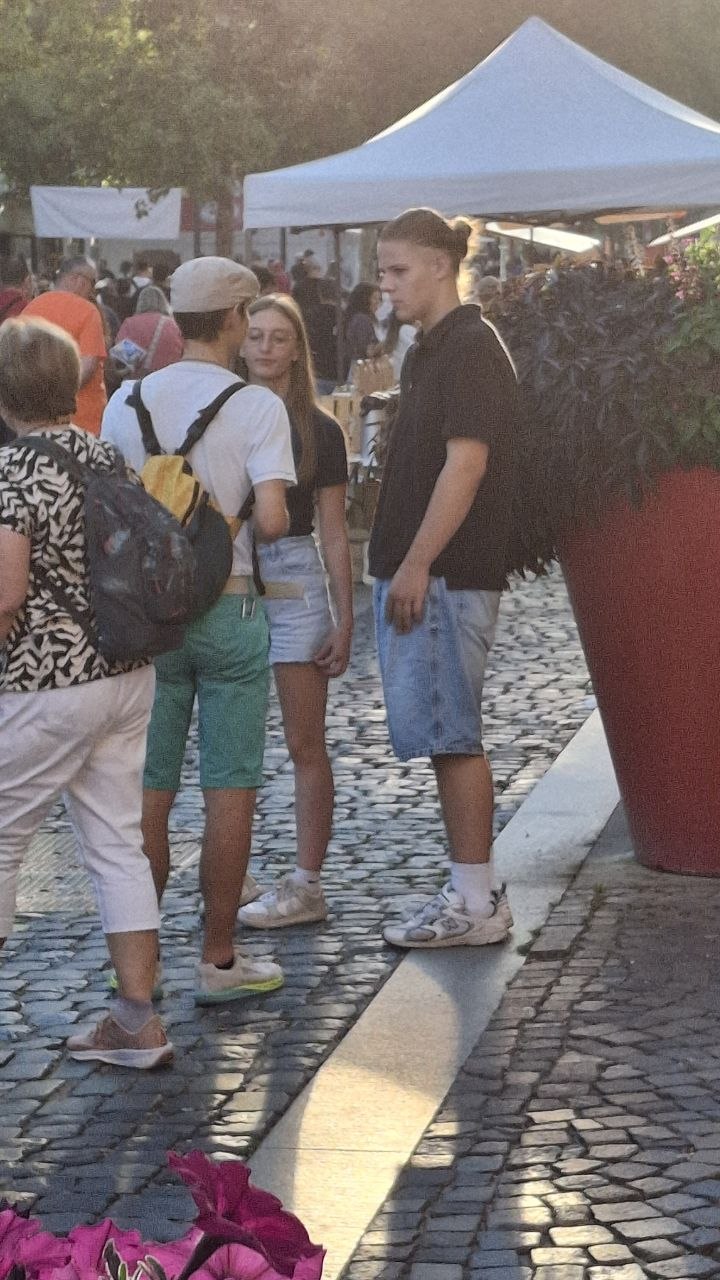 Ambiance du corso fleuri de Sélestat, où le collectif a tracté le 8 août 2026